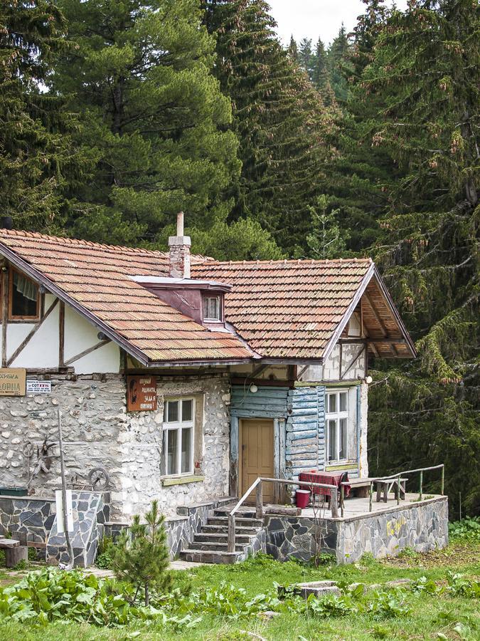 Lovna Hut Villa Panichishte Exterior foto
