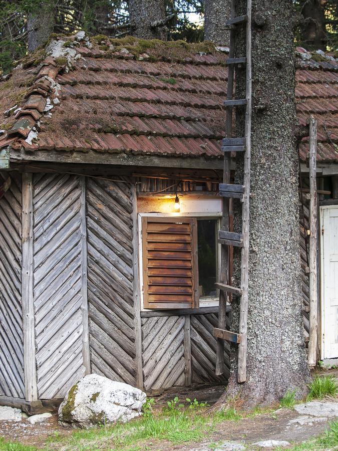 Lovna Hut Villa Panichishte Exterior foto